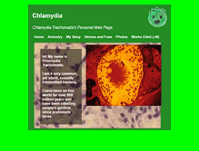 Tablet Screenshot of chlamydia.chizeng.com